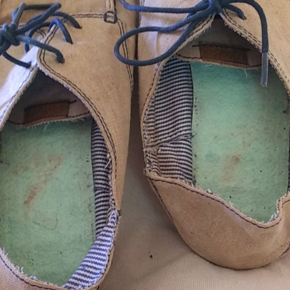 Shies - Picture 5 of 8